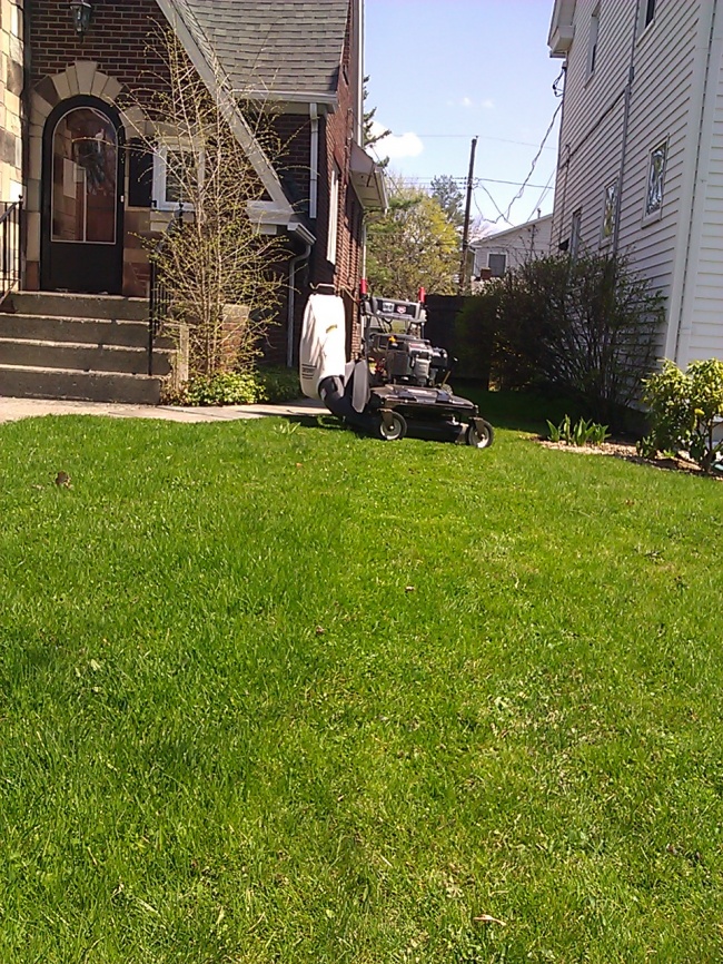 Mowing2