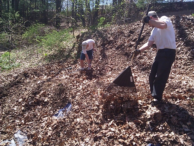 Fall cleanups